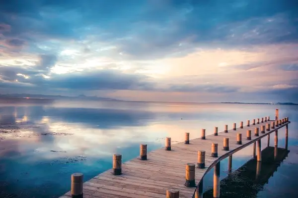 为什么不动电脑会白屏